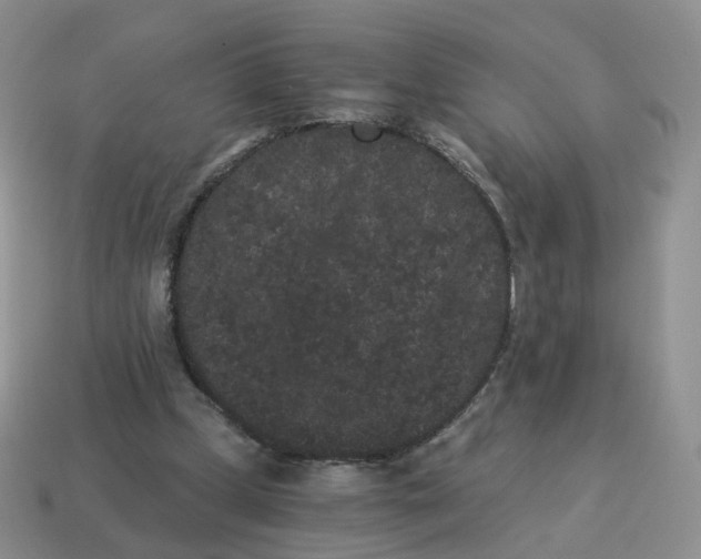 X0000114520249200911091156