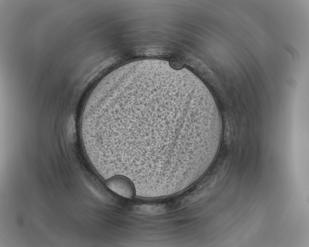 X0000114520251200911091156