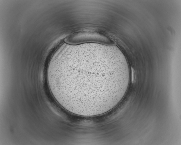 X0000114520252200911091156