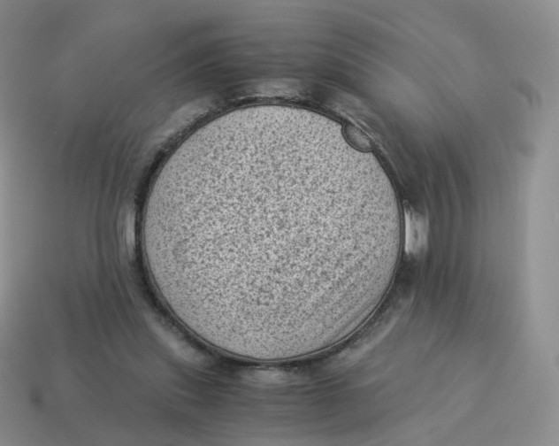 X0000114520253200911091156