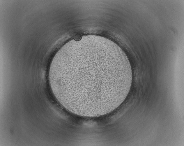 X0000114520258200911091156