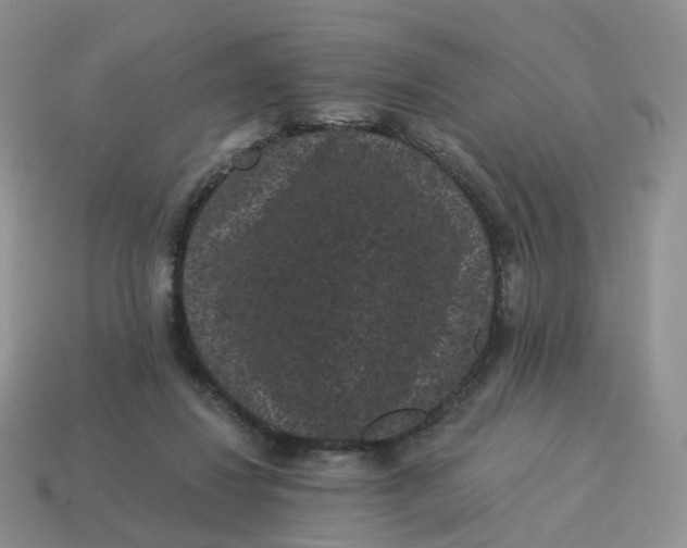 X0000114520260200911091156