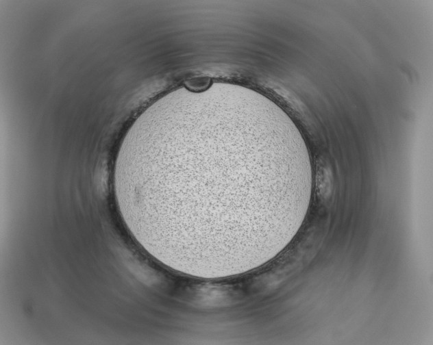 X0000114520261200911091156