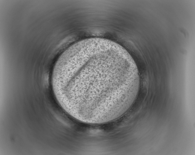 X0000114520262200911091156