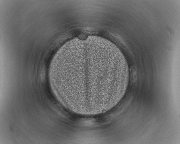 X0000114520266200911091156