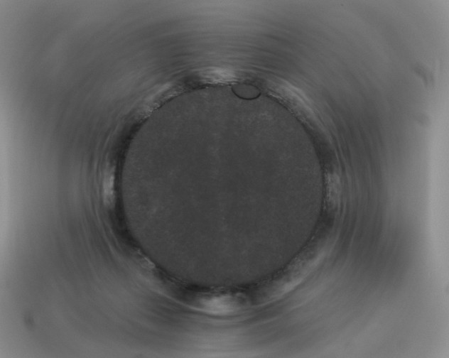 X0000114520267200911091156