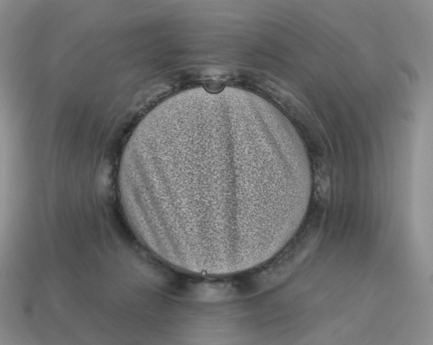 X0000114520270200911091156