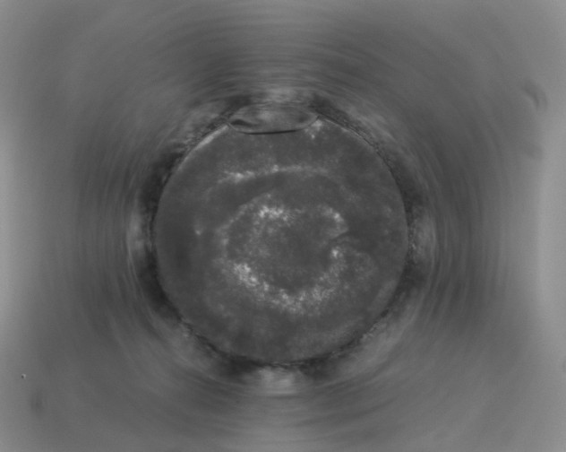 X0000114520272200911091156