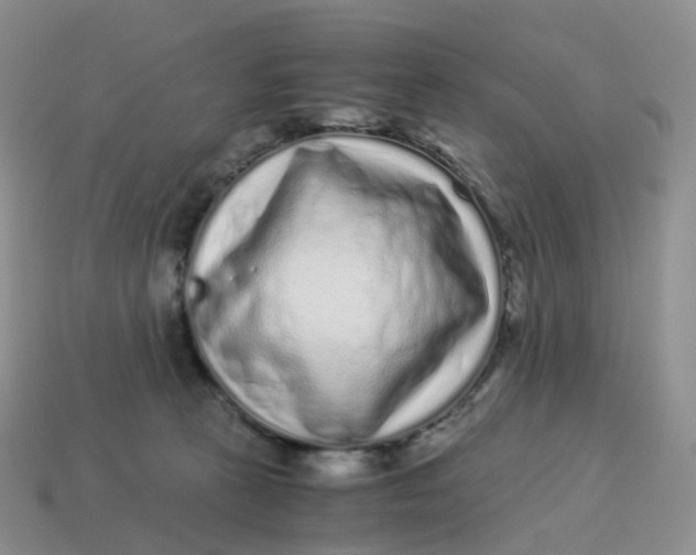 X0000114520273200911091156