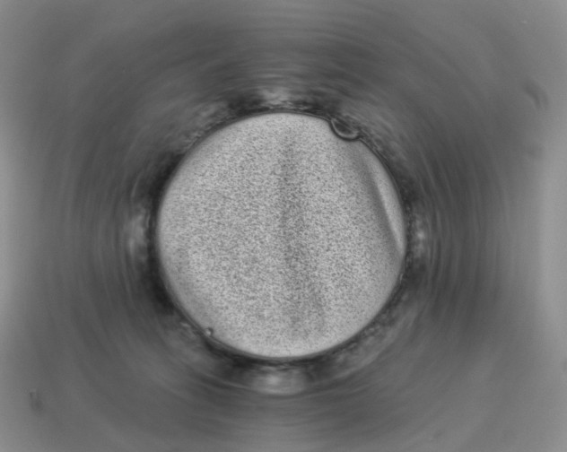 X0000114520275200911091157