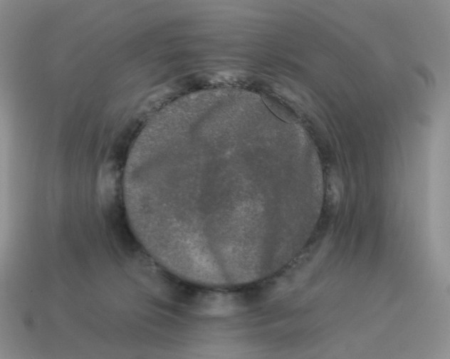 X0000114520276200911091157