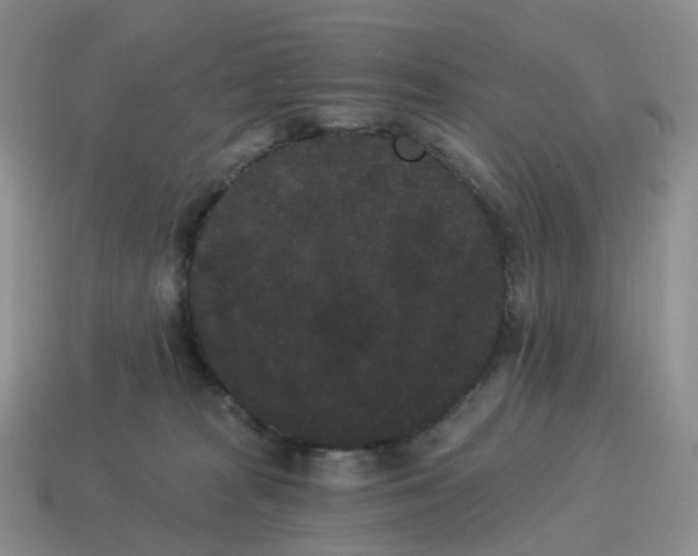 X0000114520277200911091157