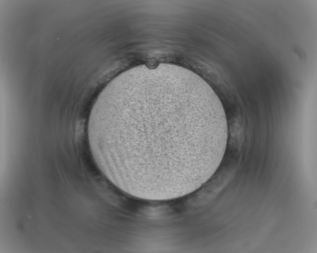 X0000114520278200911091157