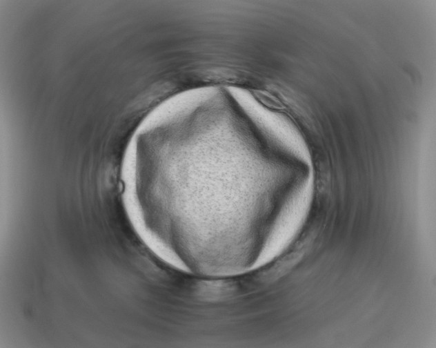 X0000114520281200911091157