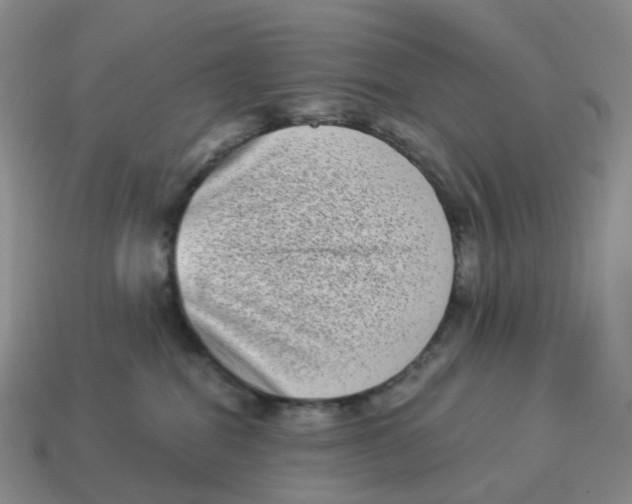 X0000114520282200911091157