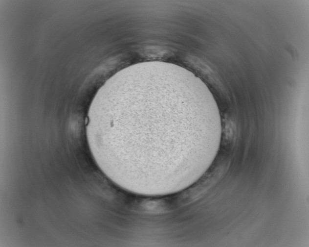 X0000114520283200911091157