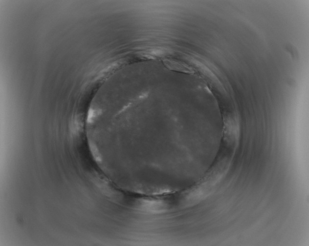 X0000114520284200911091157