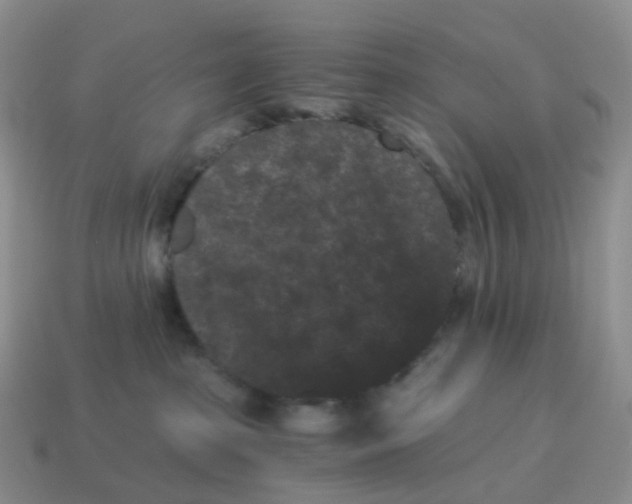 X0000114520285200911091157