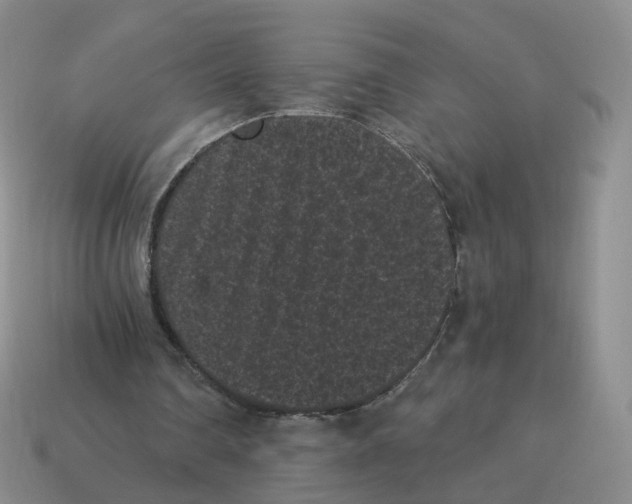 X0000114520290200911091156