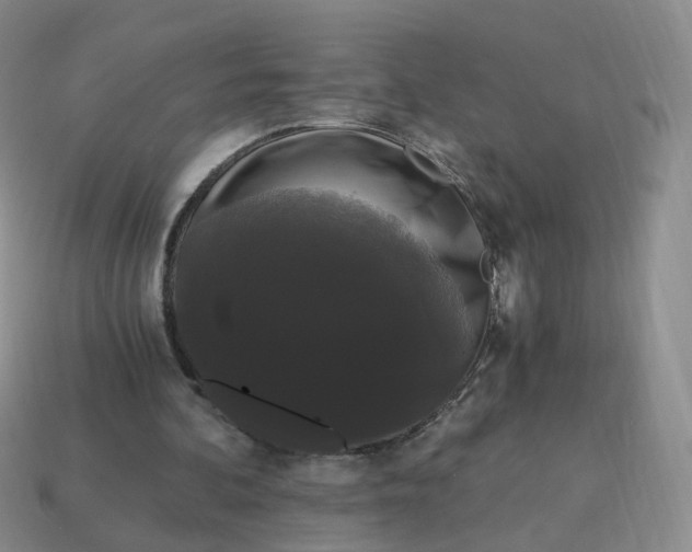 X0000114520292200911091156