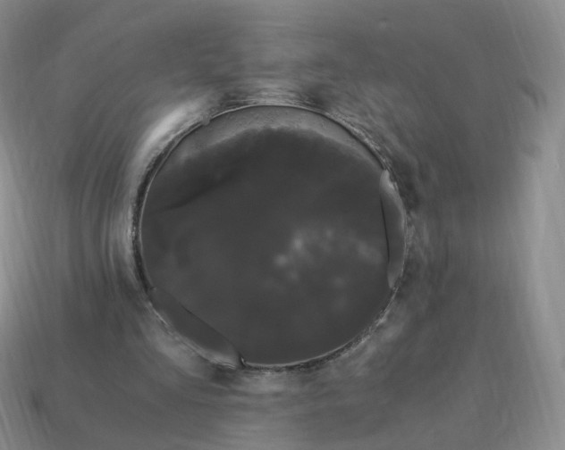 X0000114520293200911091156