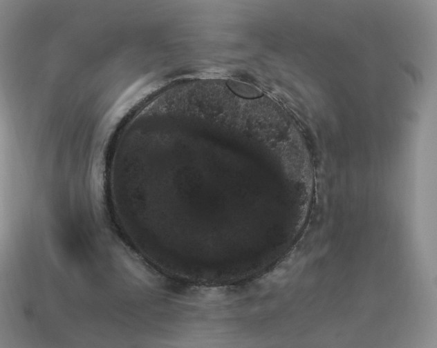 X0000114520295200911091156