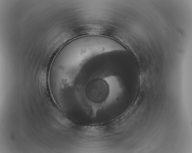 X0000114520297200911091156