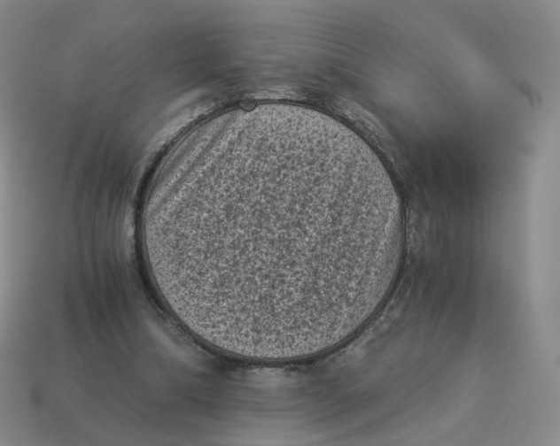 X0000114520298200911091156