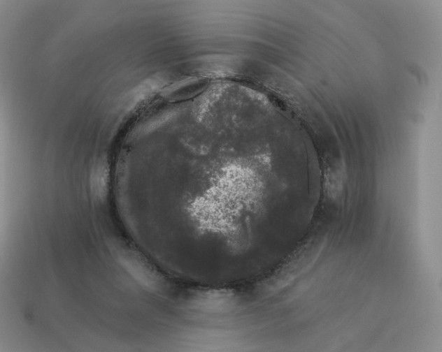 X0000114520304200911091156