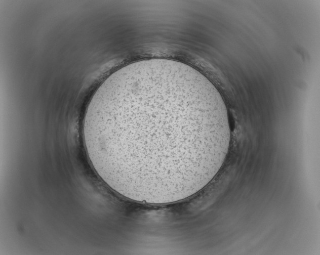 X0000114520306200911091156