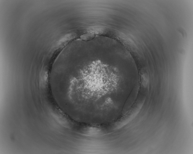 X0000114520308200911091156