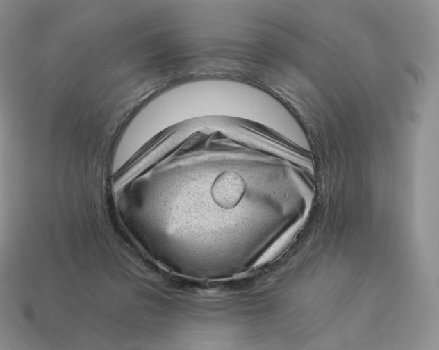 X0000114520309200911091156