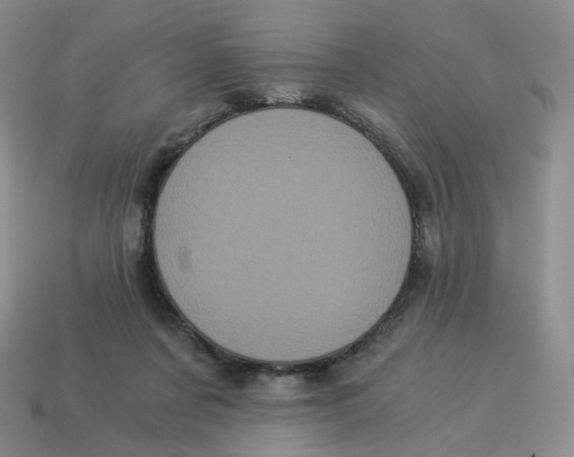 X0000114520311200911091156