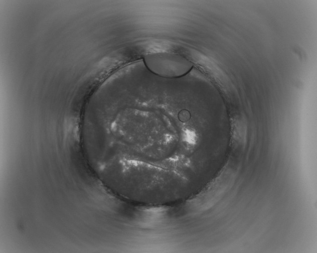 X0000114520313200911091156