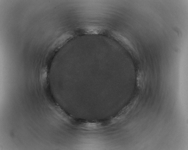 X0000114520314200911091156