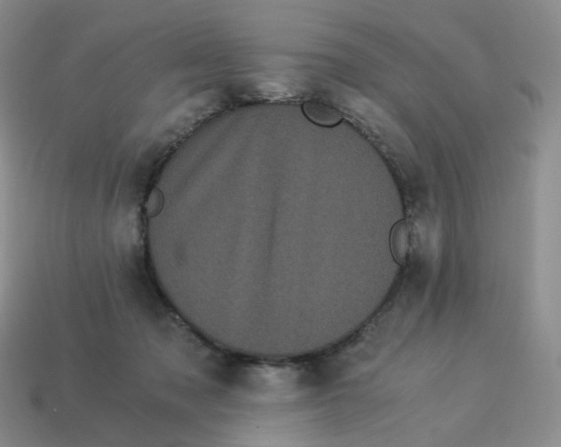 X0000114520317200911091156