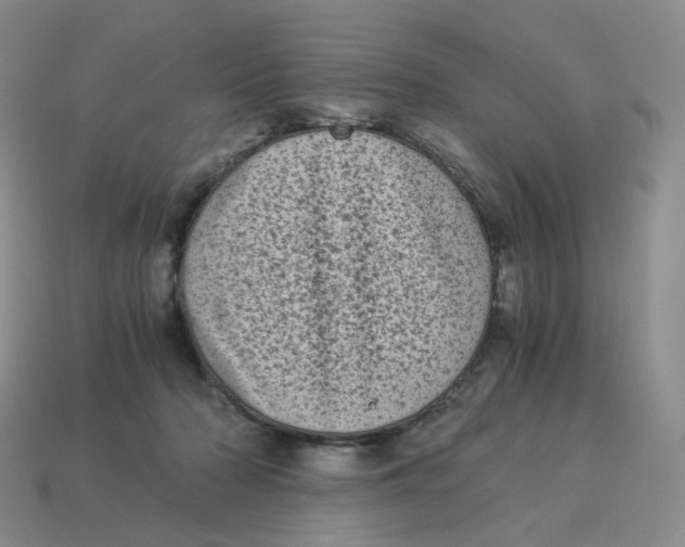 X0000114520318200911091156