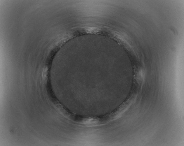 X0000114520319200911091156