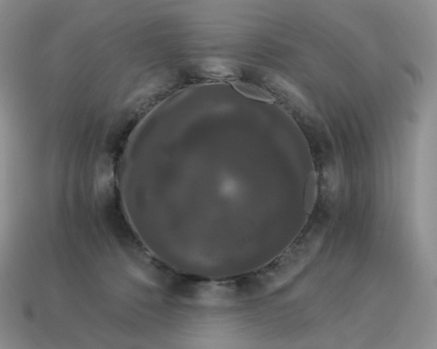 X0000114520320200911091156