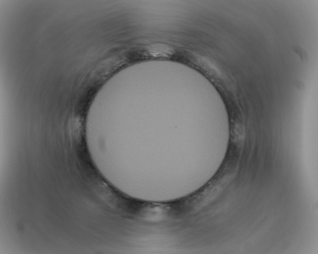 X0000114520321200911091156