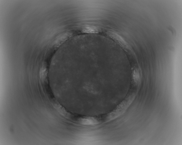 X0000114520322200911091156