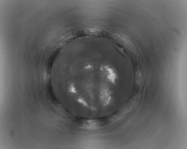 X0000114520324200911091156