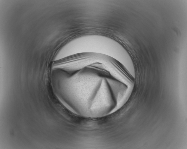 X0000114520325200911091156