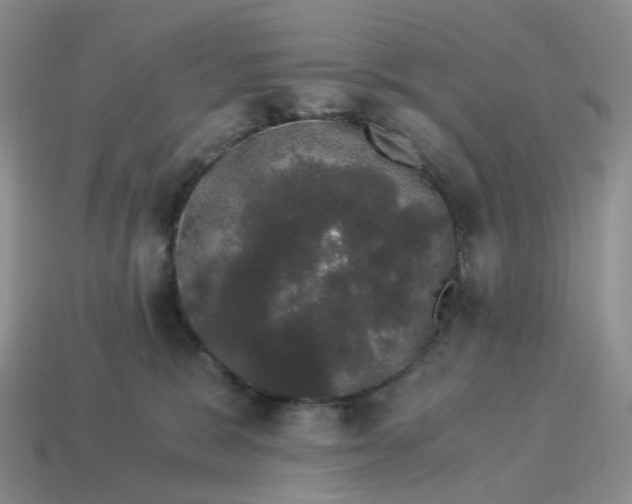 X0000114520327200911091156