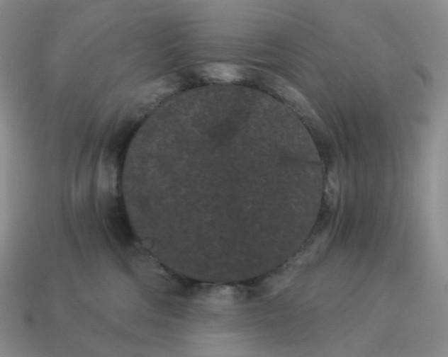 X0000114520330200911091156