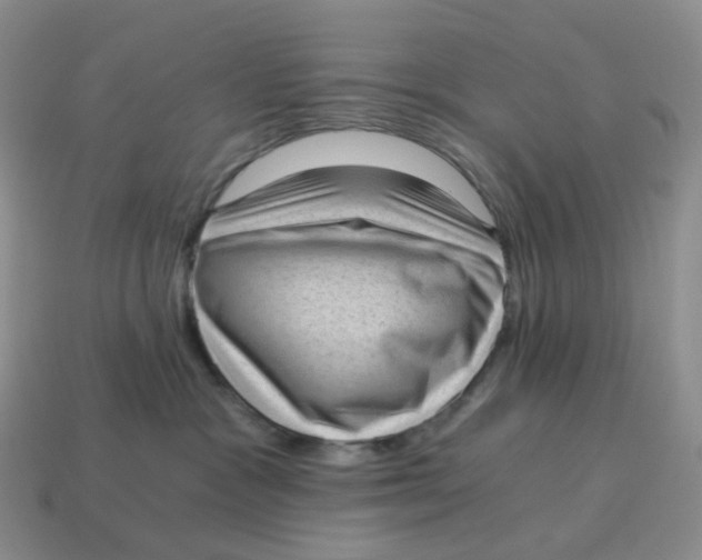 X0000114520333200911091156