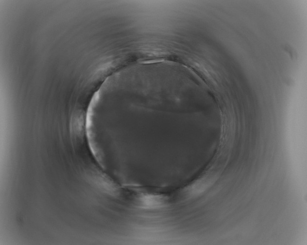 X0000114520336200911091155