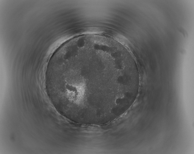 X0000114520337200911091155