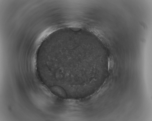 X0000114520339200911091155