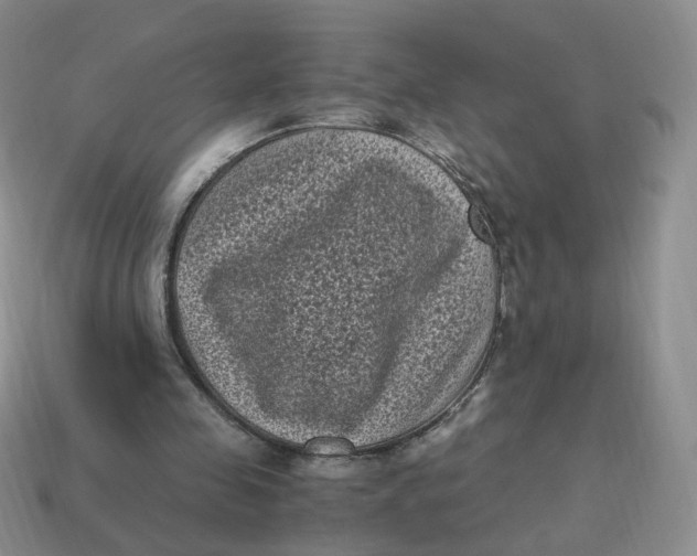 X0000114520341200911091155